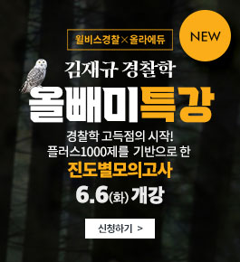 #2023 #2차 #만점 #올빼미 #진도별 #19시시작